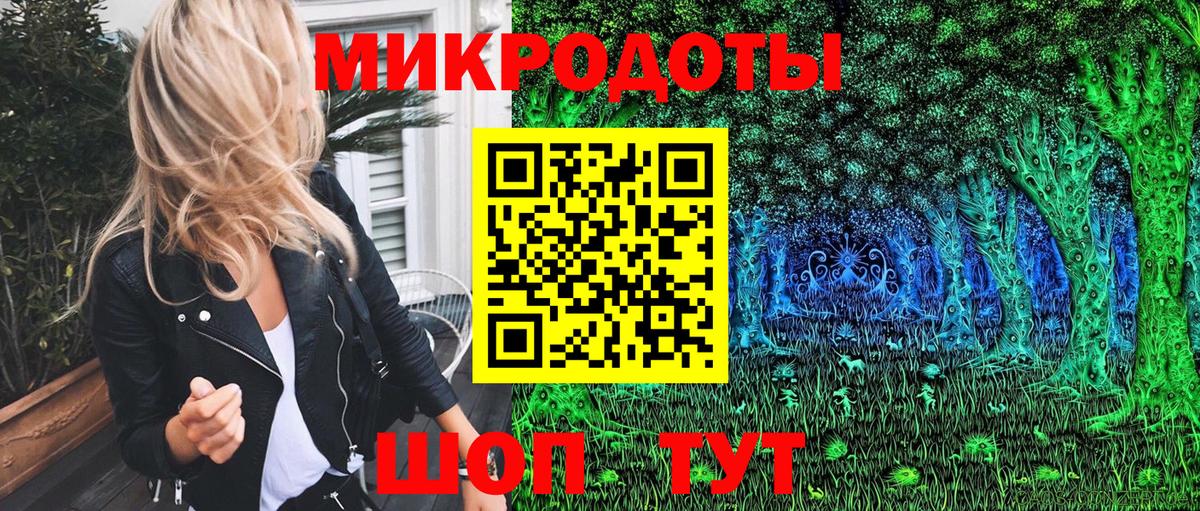 Псилоцибиновые грибы Psilocybine cubensis Миллерово
