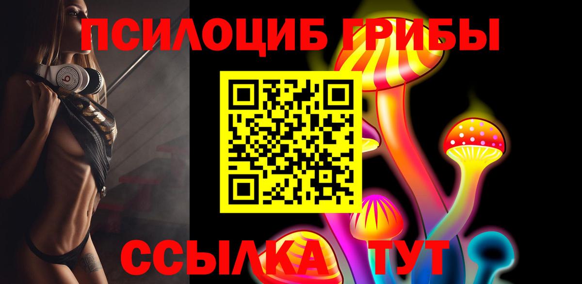 Псилоцибиновые грибы Psilocybe  Вход с VPN  Миллерово 